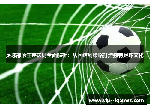 足球部落生存法则全面解析：从团结到策略打造独特足球文化