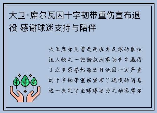 大卫·席尔瓦因十字韧带重伤宣布退役 感谢球迷支持与陪伴